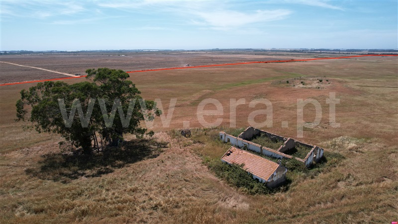 Herdade / Odemira, São Teotónio