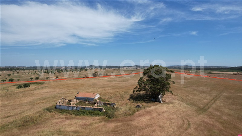 Herdade  Odemira, São Teotónio - 1497172 - 14