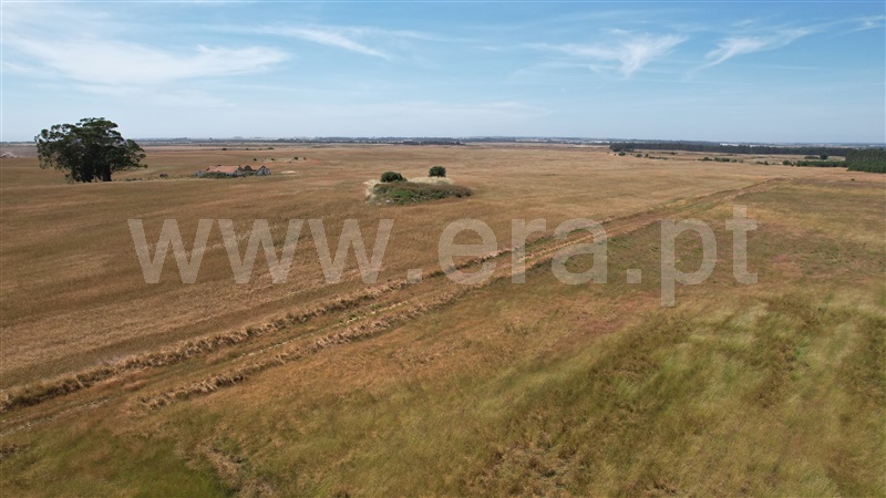 Herdade  Odemira, São Teotónio - 1497172 - 17