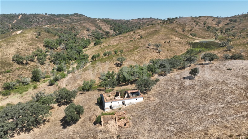 Herdade / Odemira, São Teotónio