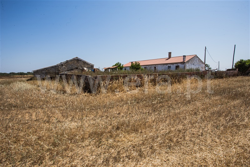 Herdade  Odemira, Vale de Santiago - 1333765 - 12