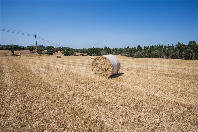 Herdade  Odemira, Vale de Santiago - 1333765 - 13