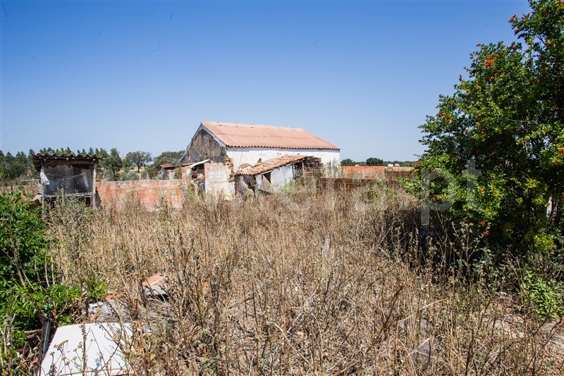 Herdade  Odemira, Vale de Santiago - 1333765 - 17