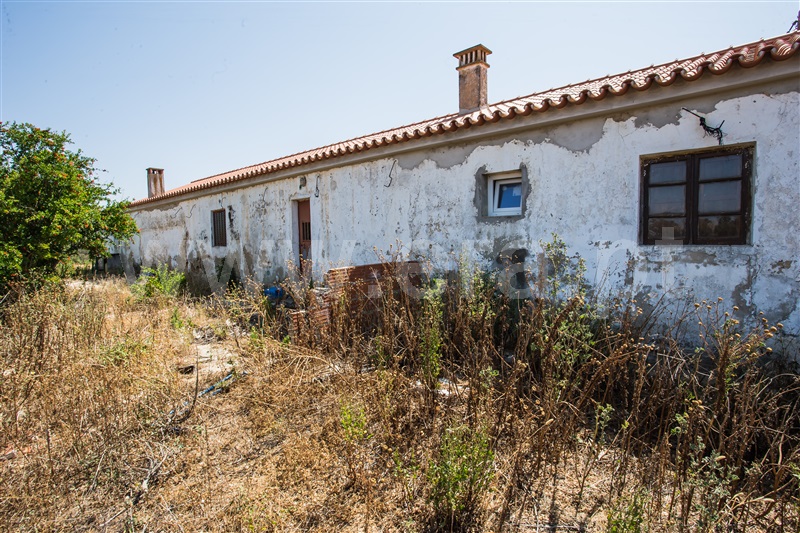 Herdade  Odemira, Vale de Santiago - 1333765 - 18