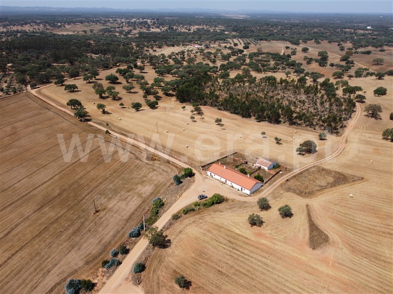 Herdade / Odemira, Vale de Santiago