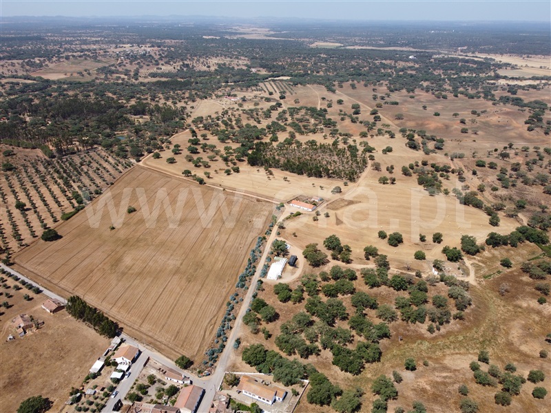 Herdade  Odemira, Vale de Santiago - 1333765 - 23