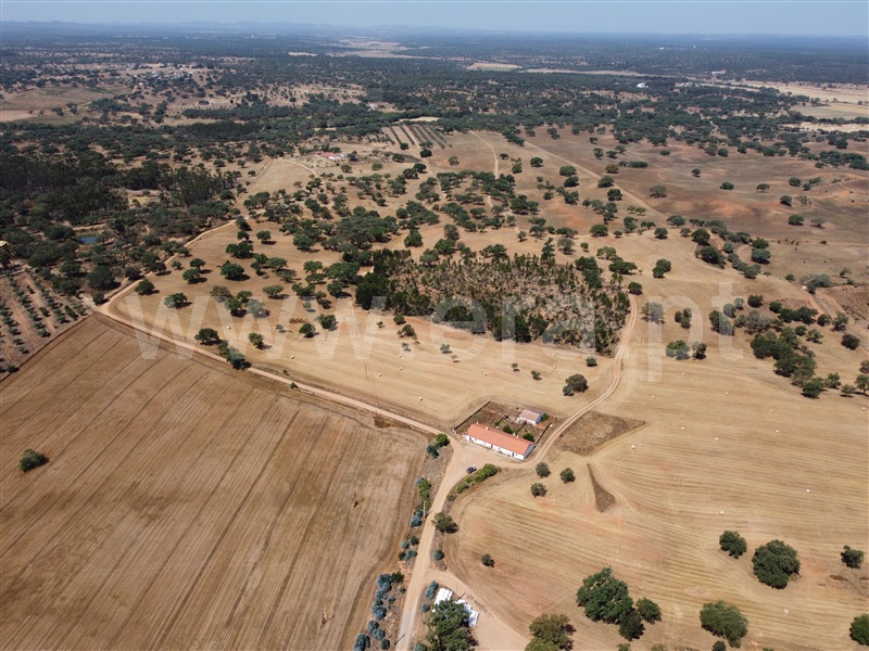 Herdade  Odemira, Vale de Santiago - 1333765 - 24