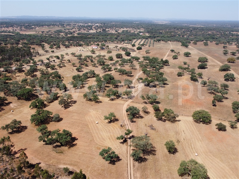 Herdade  Odemira, Vale de Santiago - 1333765 - 26
