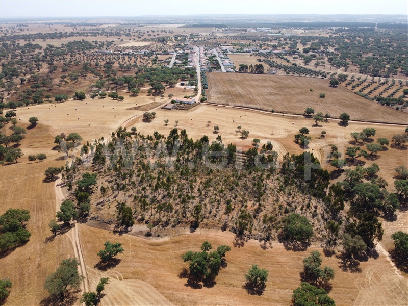 Herdade  Odemira, Vale de Santiago - 1333765 - 27
