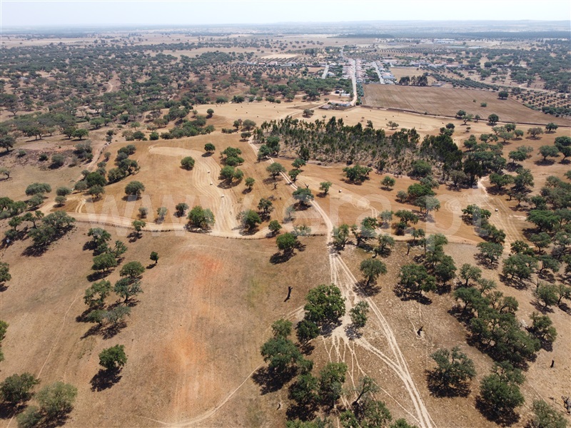 Herdade  Odemira, Vale de Santiago - 1333765 - 28