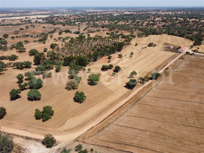 Herdade  Odemira, Vale de Santiago - 1333765 - 29