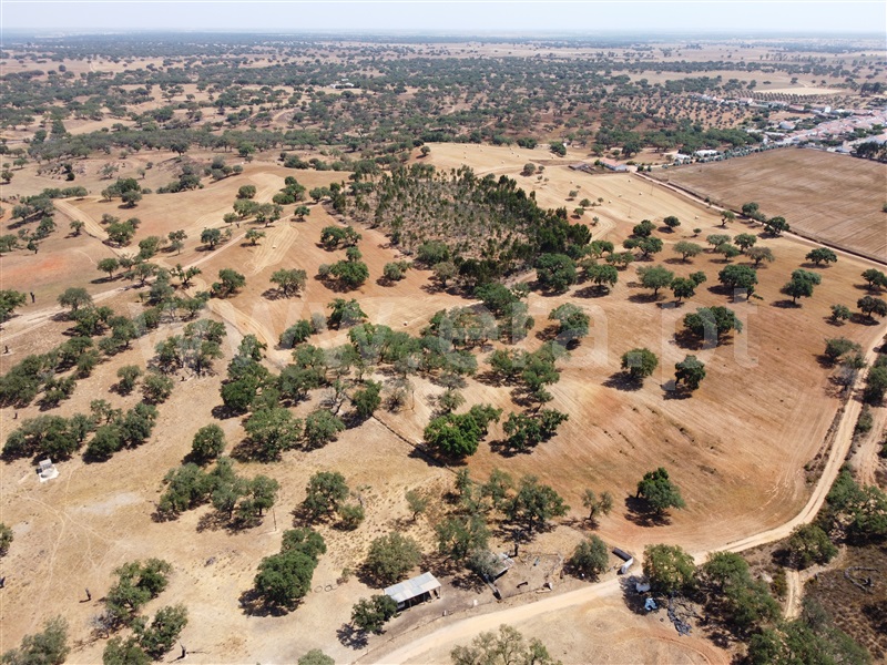 Herdade  Odemira, Vale de Santiago - 1333765 - 30