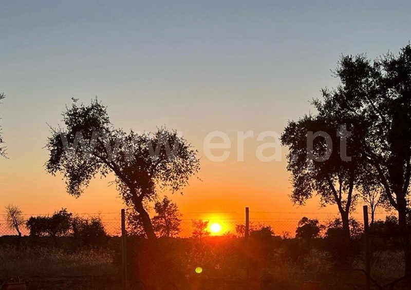 Herdade / Ourique, Alentejo