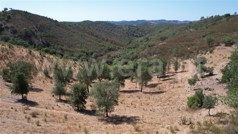 Herdade / Ourique, Santana da Serra