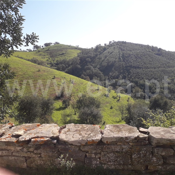 Herdade  Ourique, Santana da Serra - 1260629 - 6