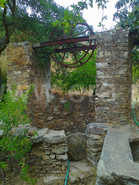 Herdade  Ourique, Santana da Serra - 1260629 - 11