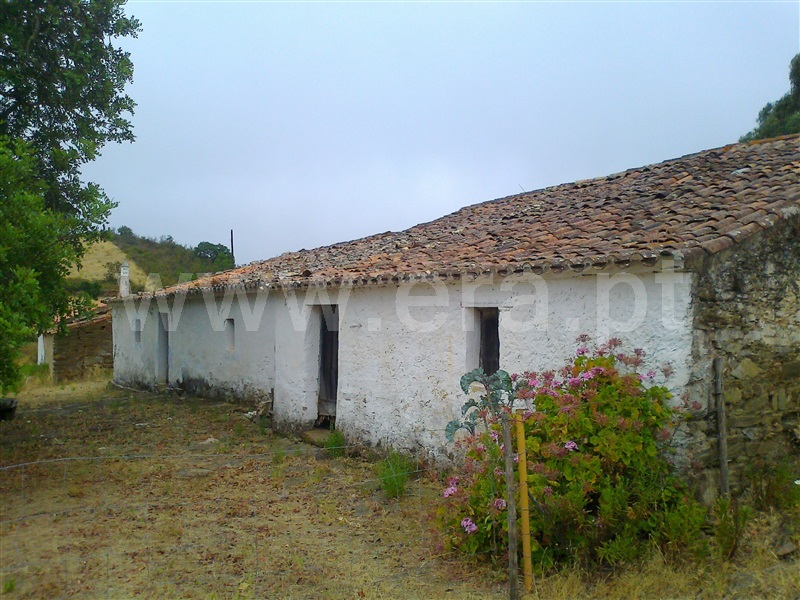Herdade  Ourique, Santana da Serra - 1260629 - 12