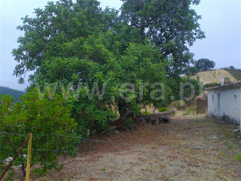 Herdade  Ourique, Santana da Serra - 1260629 - 15