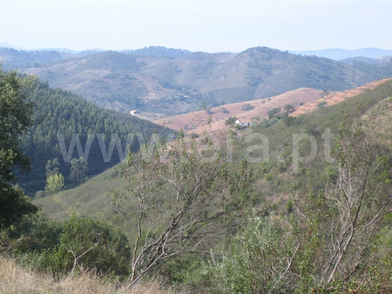 Herdade  Ourique, Santana da Serra - 1260629 - 16