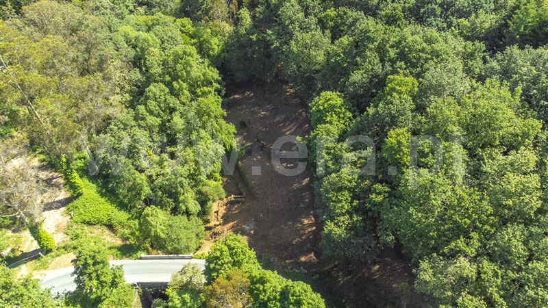 Herdade  com Grande Paredes de Coura, Padornelo - 1405789 - 16