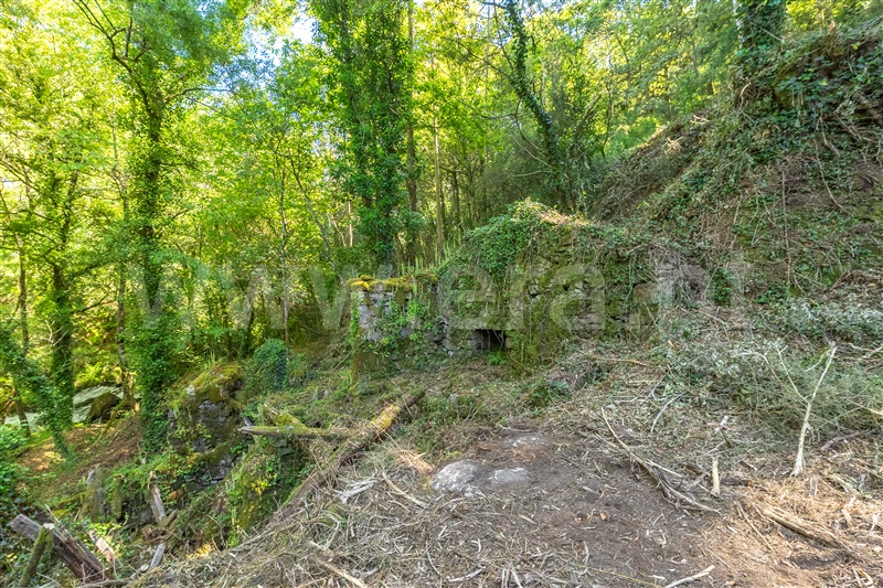 Herdade  com Grande Paredes de Coura, Padornelo - 1405789 - 22