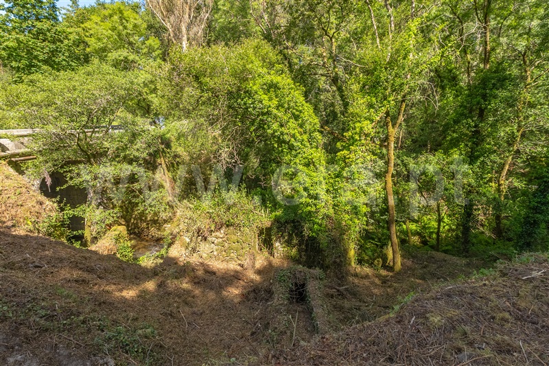 Herdade  com Grande Paredes de Coura, Padornelo - 1405789 - 23