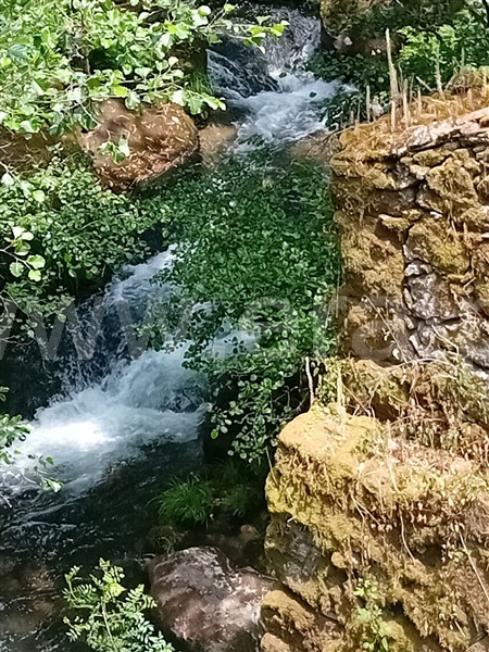 Herdade  com Grande Paredes de Coura, Padornelo - 1405789 - 26