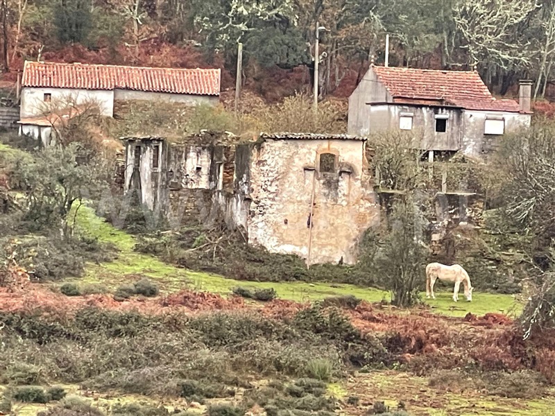 Herdade / Pedrógão Grande, Pedrogão Grande