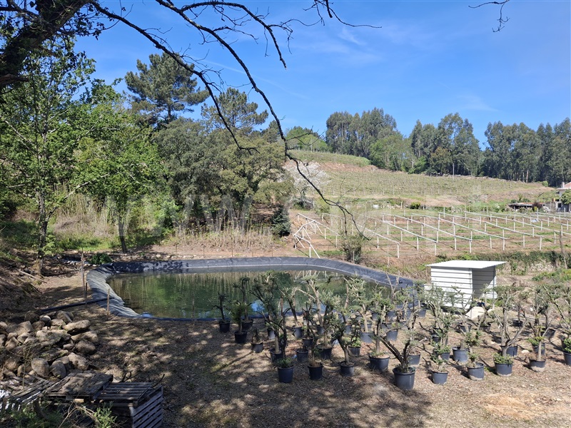 Herdade  Penafiel, Eja - 1480394 - 7