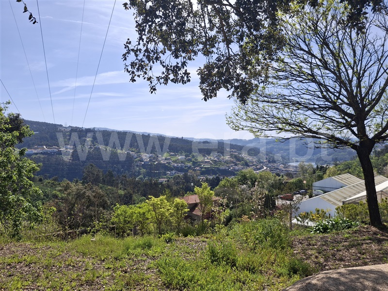 Herdade  Penafiel, Eja - 1480394 - 8