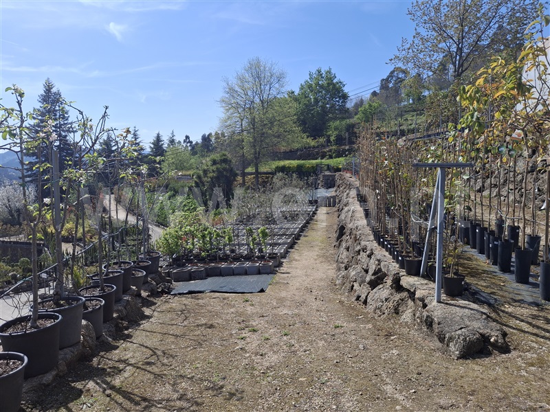 Herdade  Penafiel, Eja - 1480394 - 9
