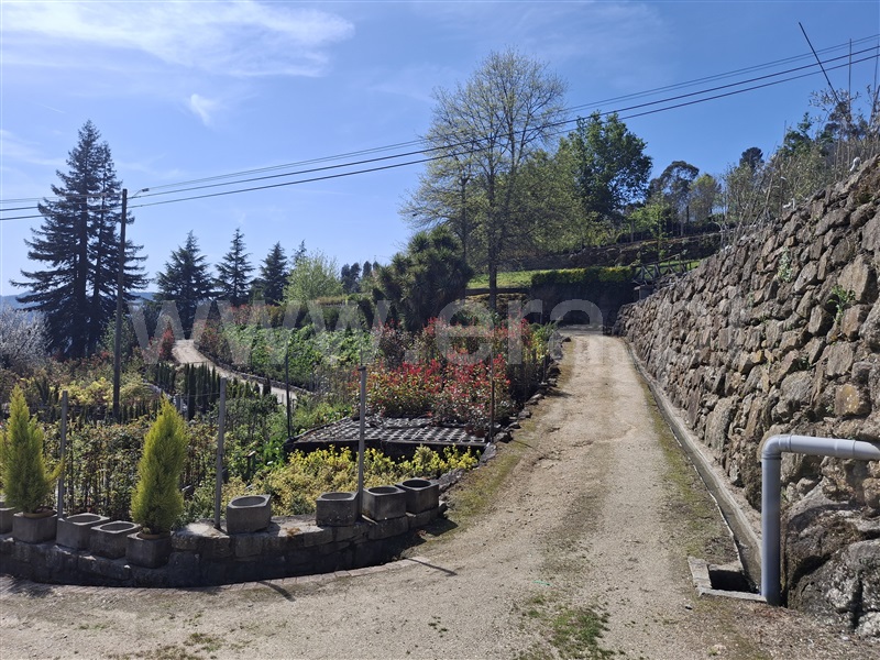 Herdade  Penafiel, Eja - 1480394 - 16