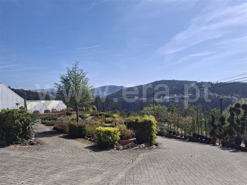Herdade  Penafiel, Eja - 1480394 - 17