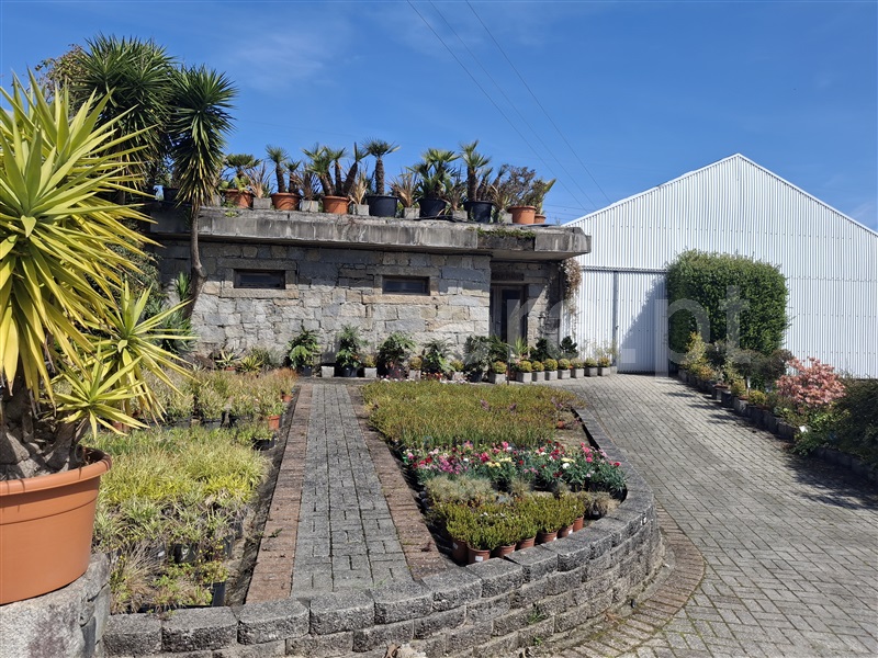 Herdade  Penafiel, Eja - 1480394 - 18