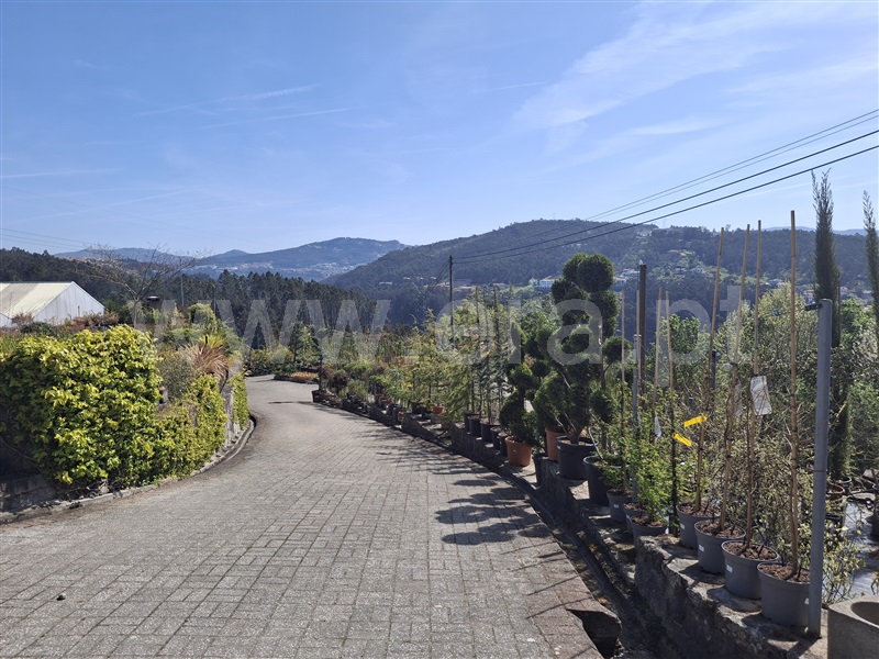 Herdade  Penafiel, Eja - 1480394 - 19