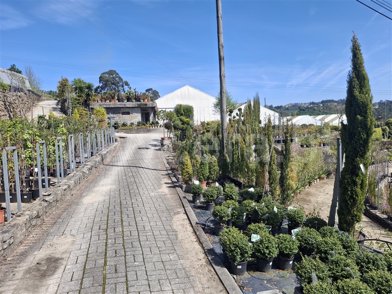 Herdade  Penafiel, Eja - 1480394 - 20