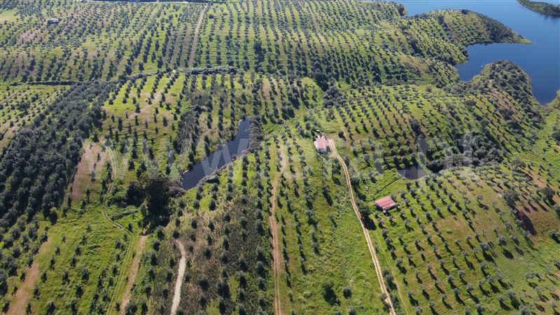Herdade  Portel, Amieira e Alqueva - 1381198 - 7