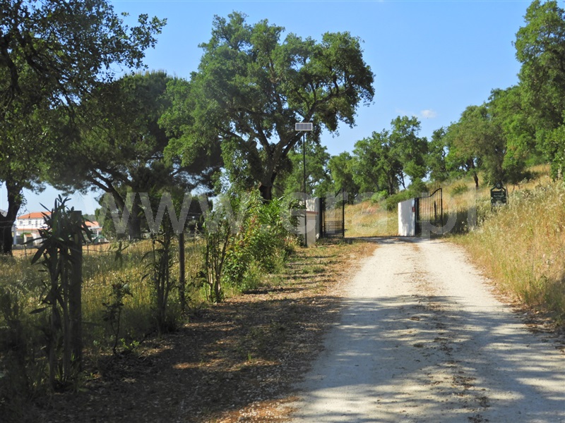 Herdade / Salvaterra de Magos, Foros de Salvaterra