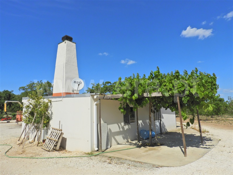 Herdade  Salvaterra de Magos, Foros de Salvaterra - 1483867 - 14