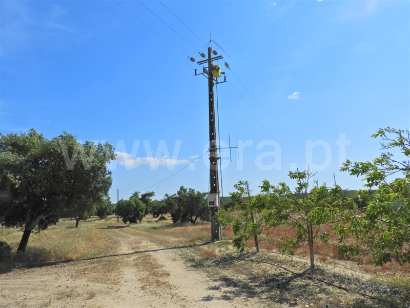 Herdade  Salvaterra de Magos, Foros de Salvaterra - 1483867 - 18