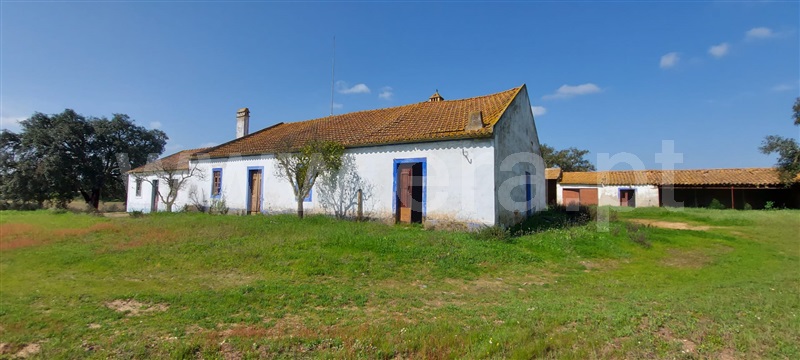 Herdade  Santiago do Cacém, Alvalade - 1154278 - 9