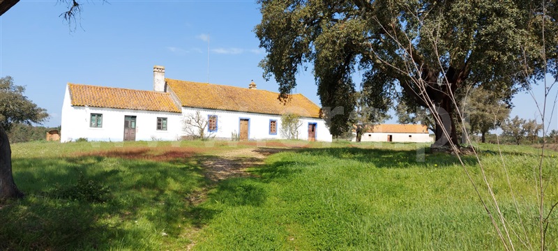 Herdade  Santiago do Cacém, Alvalade - 1154278 - 5