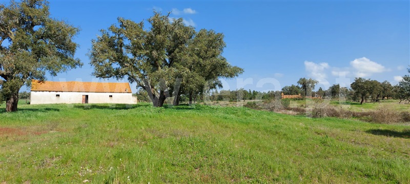 Herdade  Santiago do Cacém, Alvalade - 1154278 - 8