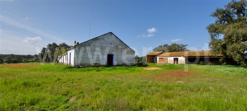 Herdade  Santiago do Cacém, Alvalade - 1154278 - 10