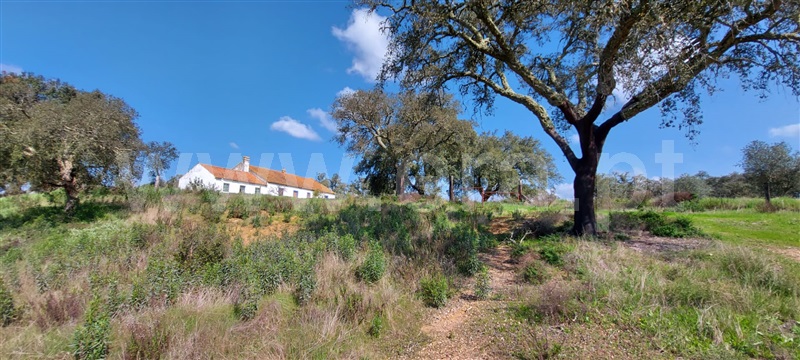 Herdade  Santiago do Cacém, Alvalade - 1154278 - 12