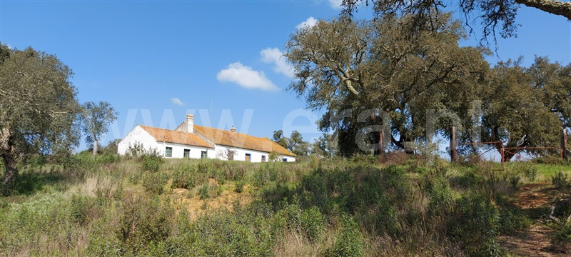 Herdade  Santiago do Cacém, Alvalade - 1154278 - 4