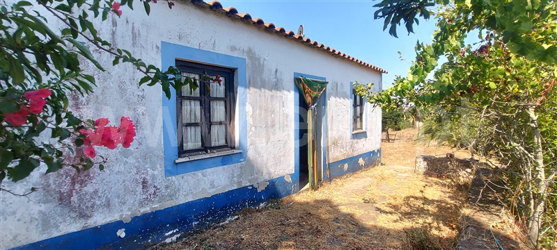 Quintinha / Santiago do Cacém, Cercal