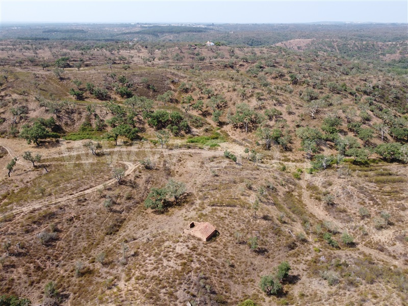 Herdade  Santiago do Cacém, Santiago do Cacém, Santa Cruz e São Bartolomeu da Serra - 1340116 - 11