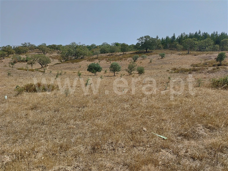 Herdade  Santiago do Cacém, Santiago do Cacém, Santa Cruz e São Bartolomeu da Serra - 1340116 - 19
