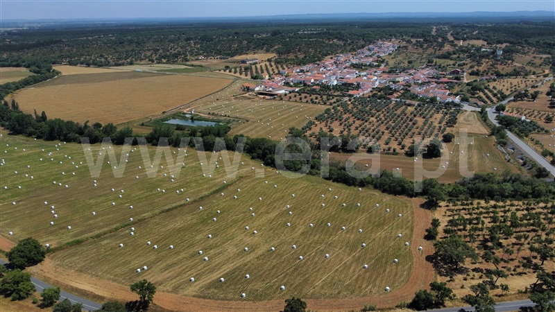 Herdade  Santiago do Cacém, São Domingos e Vale de Água - 1391944 - 7